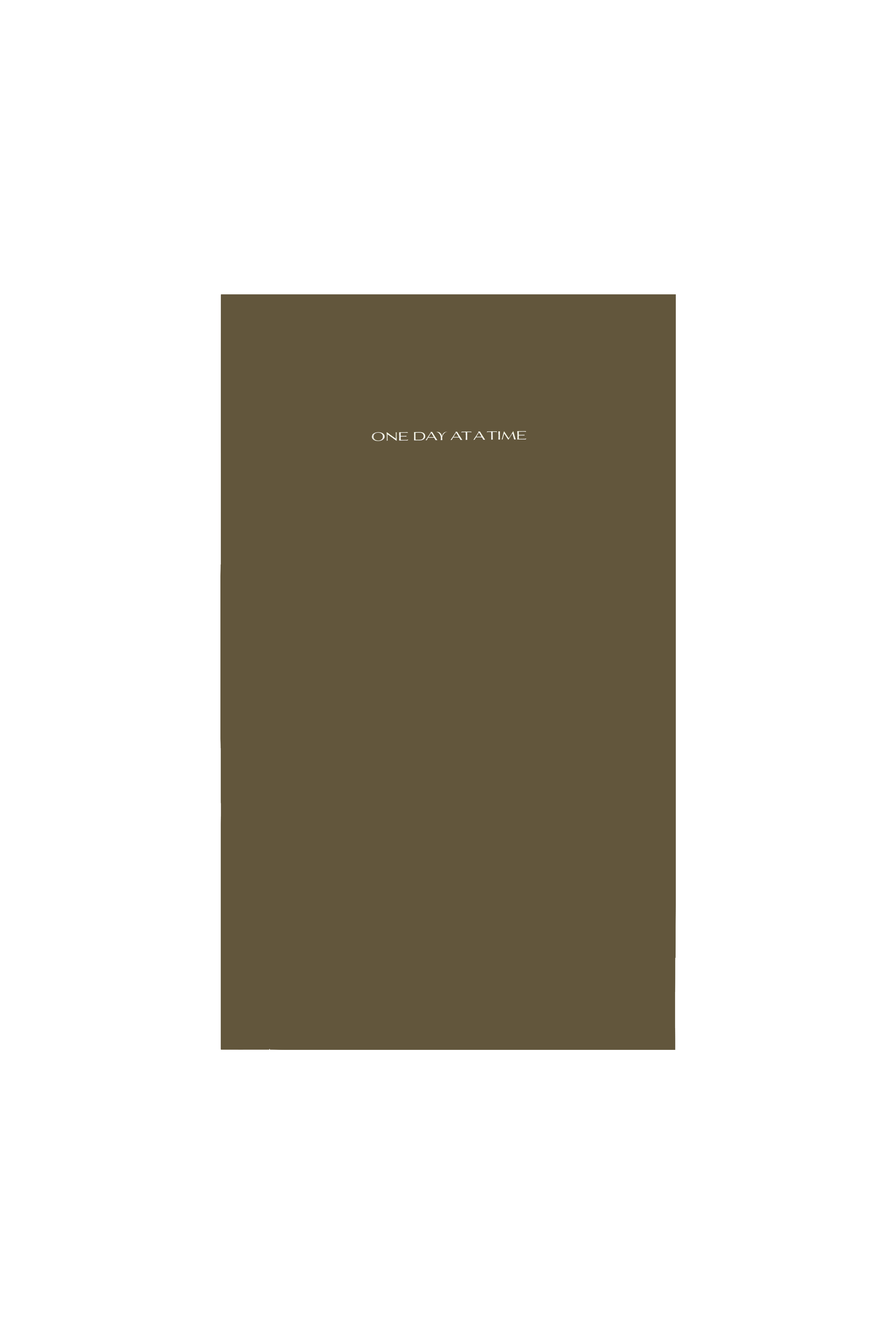2027 Planner Insert (The Balanced Achiever)